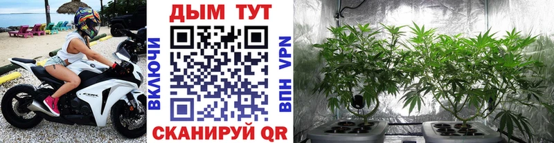 Все наркотики Шумерля Кодеин  КОКАИН  Гашиш  Мефедрон  МАРИХУАНА 