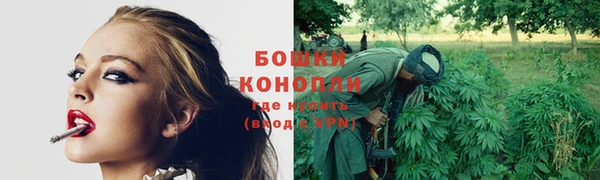 синтетический гашиш Новозыбков