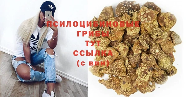 хмурый Новодвинск