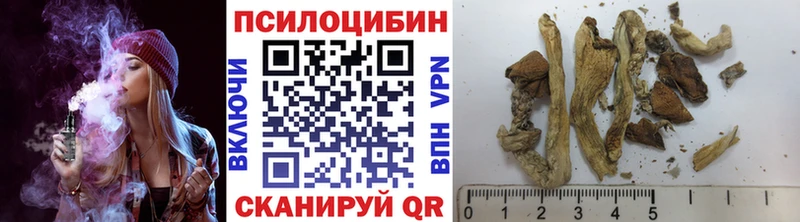 Псилоцибиновые грибы Magic Shrooms  Шумерля 